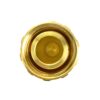 VÁLVULA ADAPTADORA EM LATÃO DE 1” NPT M. X 1.3/4” ACME F. REGO 3175ª