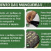 50 Metros Mangueira Irrigação Santeno 2 Perfurada  Cor Preto